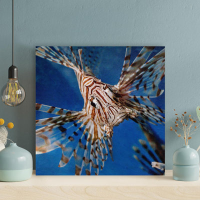 " One Lionfish " Painting Print