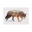 Arctic Grizzly Bear by Andreas Lie - Print on Canvas-29382405-56677623