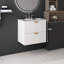 Ensemble de meuble-lavabo simple 24 po Piersen