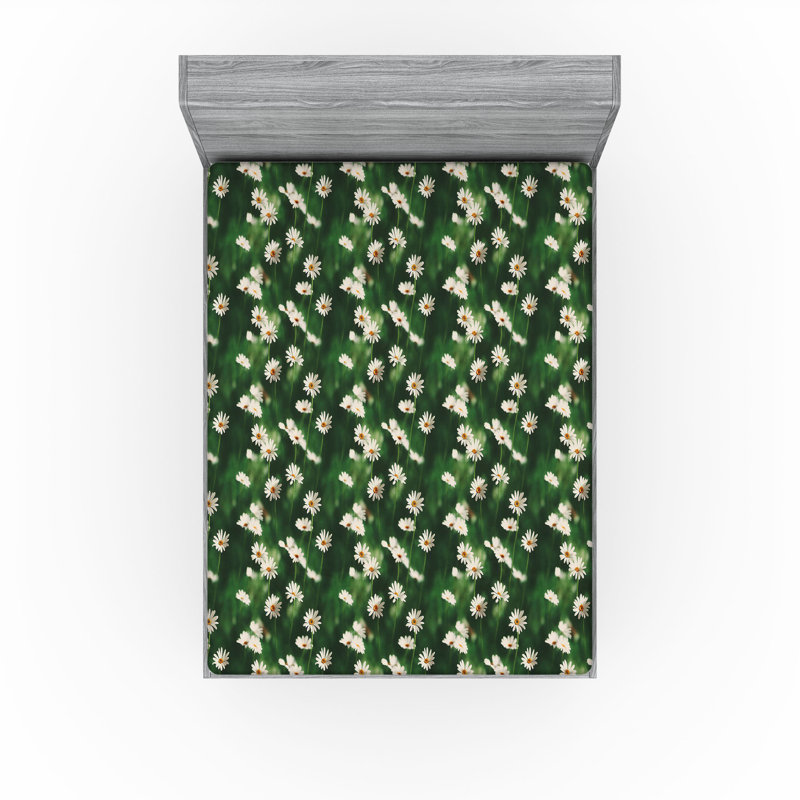 Drap-housse de camomille Ambesonne, Drap-housse très grand californien