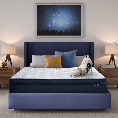 Serta Five Star Mattress Sleep to Go Medium Mattress in a Box