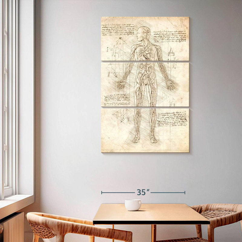 Keiri Human Circulatory System, 65" H x 42" W