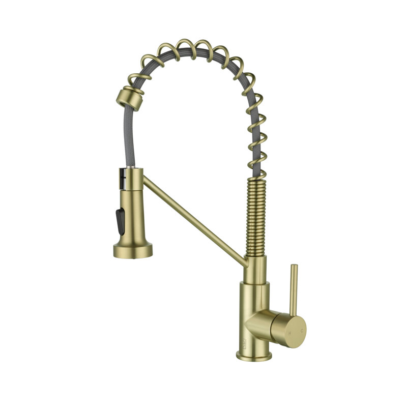 Elegant Home Living Yara Pull Down Spray Kitchen Faucet, Brushed Gold