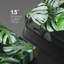 «Dark Tropical Island Jungle Monstera Leaf» sur-99544087