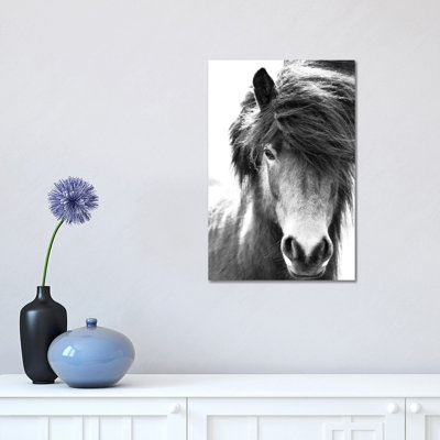 Iceland Horse Blastur 1 Piece Wrapped Canvas Wall Art