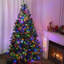 Sapin de Noël 6 pi avec lumières DEL colorées-67506559