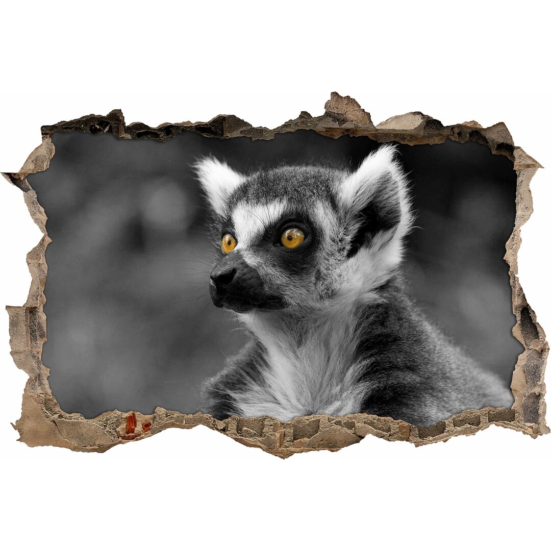 Schöner, verwirrter Ringelschwanzlemur Wandaufkleber