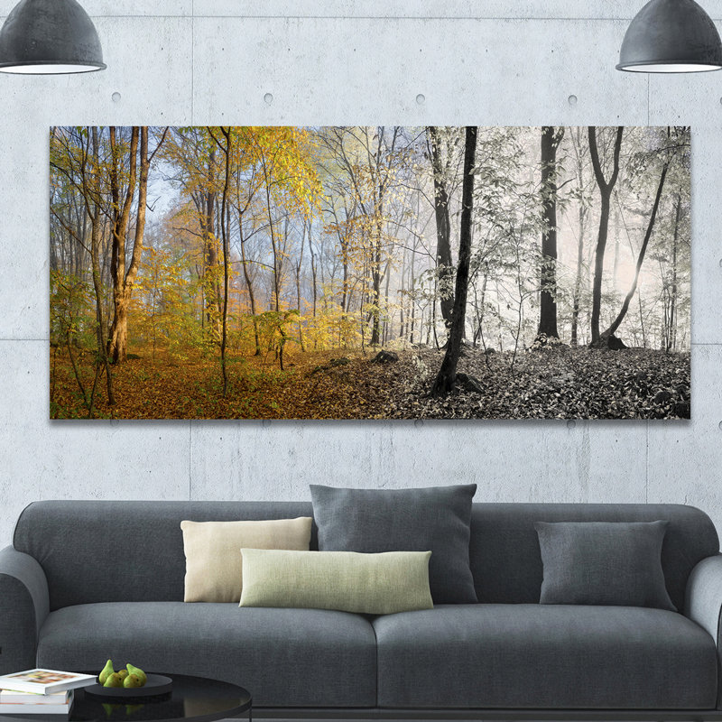 «Yellow Morning in Forest Panorama», reproduction de photo sur toile tendue, H 28 po x l 60 po x 1,5 po