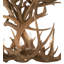 Rustic Lodge 12 - Light Chandelier