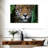 Brampt Amazon Jungle Jaguar-107720435