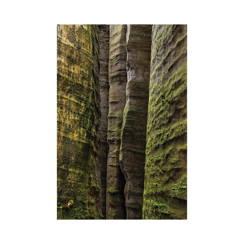 Czech Republic, Adršpach-Teplice Rocks I by Mikolaj Gospodarek - Wrapped Canvas Print, 20.32 cm H x 30.48 cm W