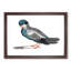 Pigeon by Johan Teyler - Picture Frame Painting Print-55732086-55732090