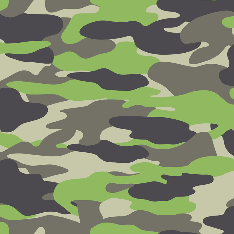 10.05m x 53cm Matte Wallpaper Roll, Green