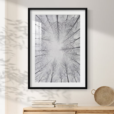 Deciduous Canopy I -Framed Print