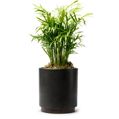 Pot à fleurs en grès Byer