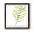 Papier, cadre noyer