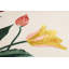 Coussin Rifle Paper Co. x Loloi Tulips-93605867