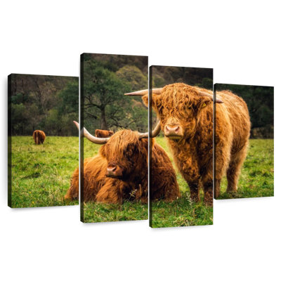 Brampt Highland Cow Friends