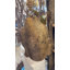 Cloche de Bouddha en or bruni