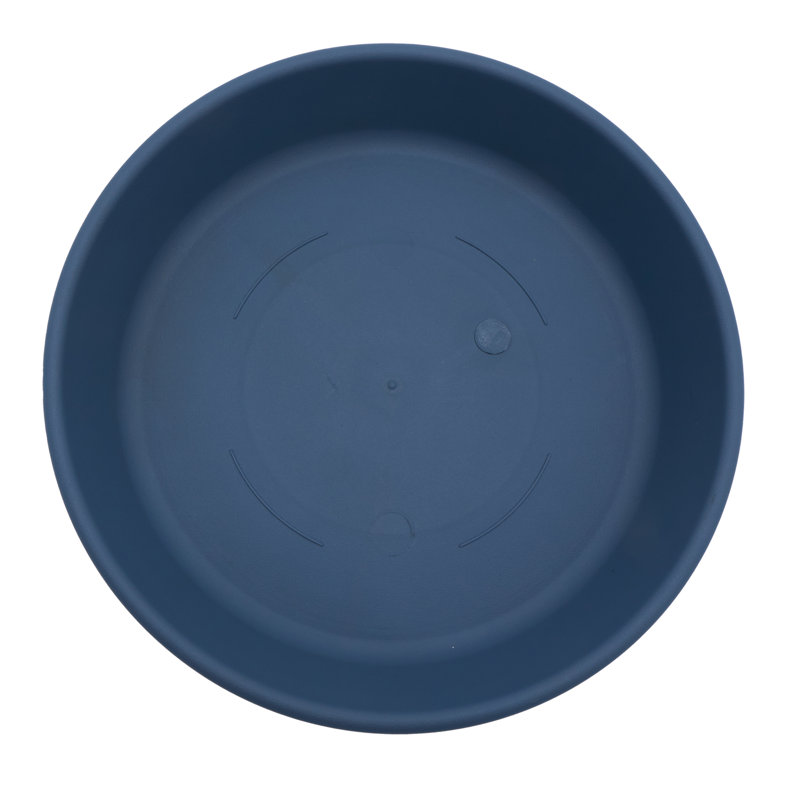  Plateau d'égouttement classique , H 3 po x l 16 po x P 16 po, Bleu