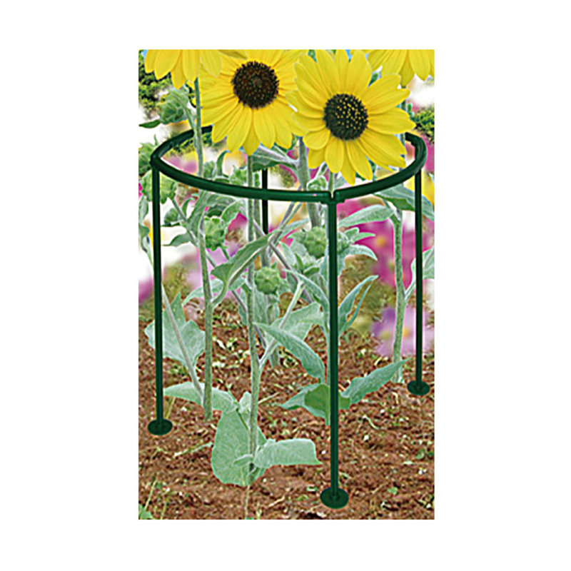 Gvantsa Plant Support