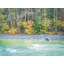 Autumn On The Stillaquamish River Print-65782535-65782538-92903962