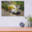 Zen Moments-1702594458