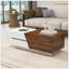 Table basse à plateau coulissant moderne avec rangement en noyer et blanc Modern