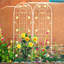 Paquet de 2 treillis d'extérieur en métal 71 po x 19,7 po, blanc crème antirouille pour les plantes, installation facile, fabrication, plantes grimpantes telles que Morning Glory, pois à assembler, forte, vigne
