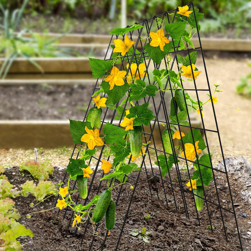 Concombre en treillis, paquet de 2 pliable avec cadre en treillis pour plantes surélevées, Noir