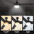 Advait 52'' Ceiling Fan with LED Lights