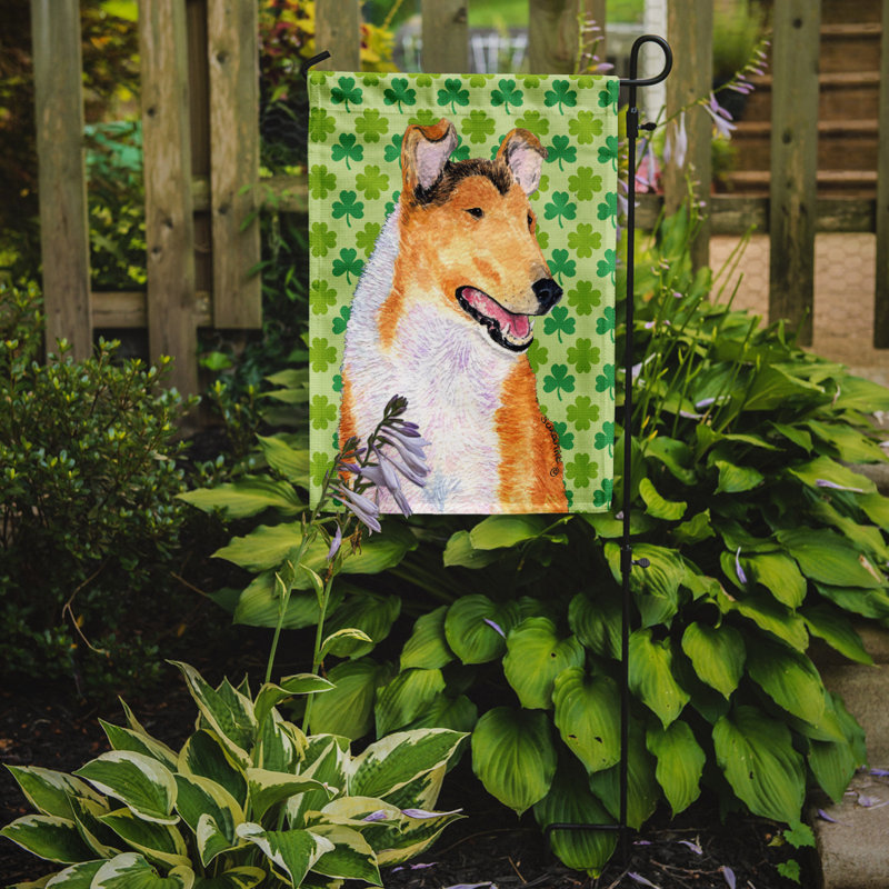 Drapeau de jardin à 2 côtés st. patrick day trèfle, Collie à poil court
