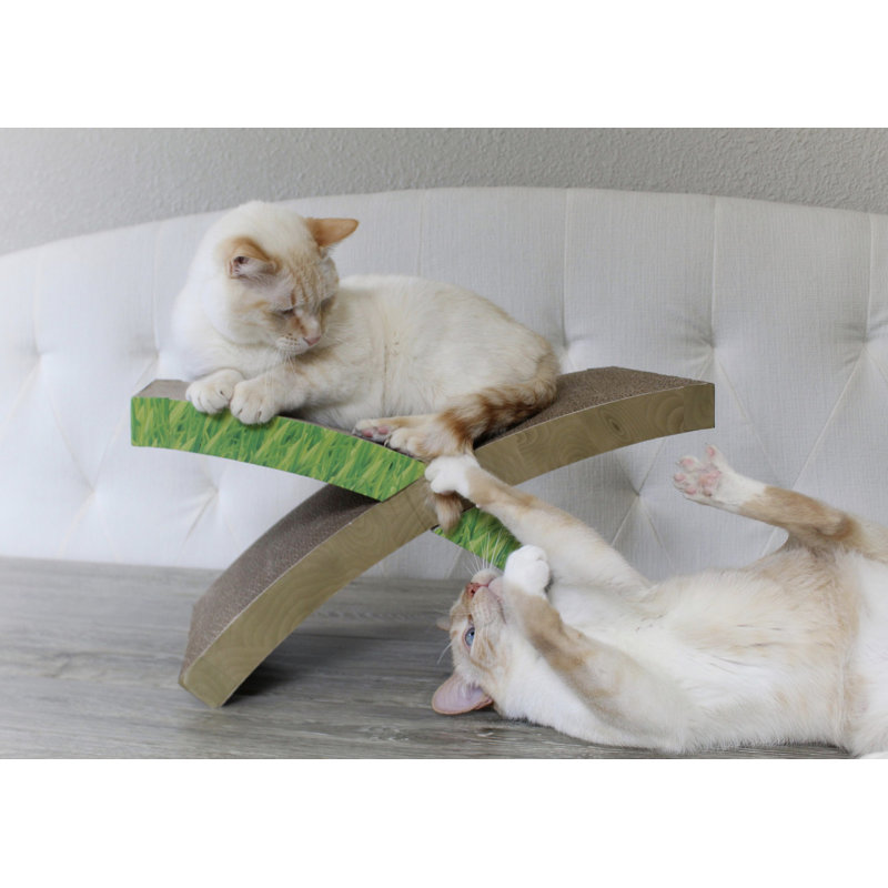 Green Corrugated Cardboard Cat Scratcher Hammock with Catnip