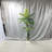 Multiple Palm Trees Used For Home Decoration-994483432