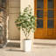 Ficus artificiel George, verdure artificielle protégée contre les rayons UV avec une énorme base décorative pour l'intérieur et l'extérieur-2074737958-2074737956
