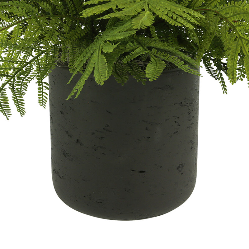 Outdoor UV-Rated Ostrich Fern in Fiberstone Pot