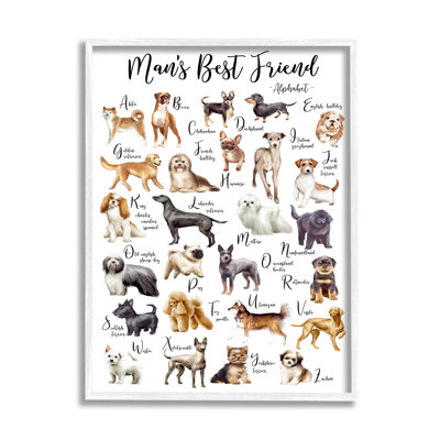 «Man's Best Friend» par Ziwei Li