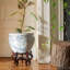 16" Abstract Blue & Silver Fishbowl-1757339853