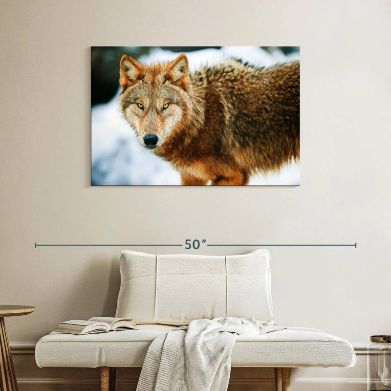 Brampt Brown Wolf