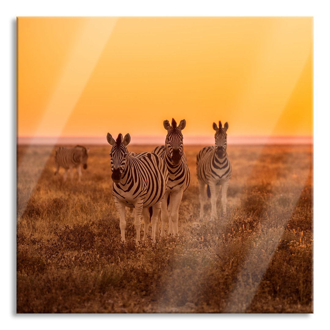 Glasbild Zebra in der Savanne