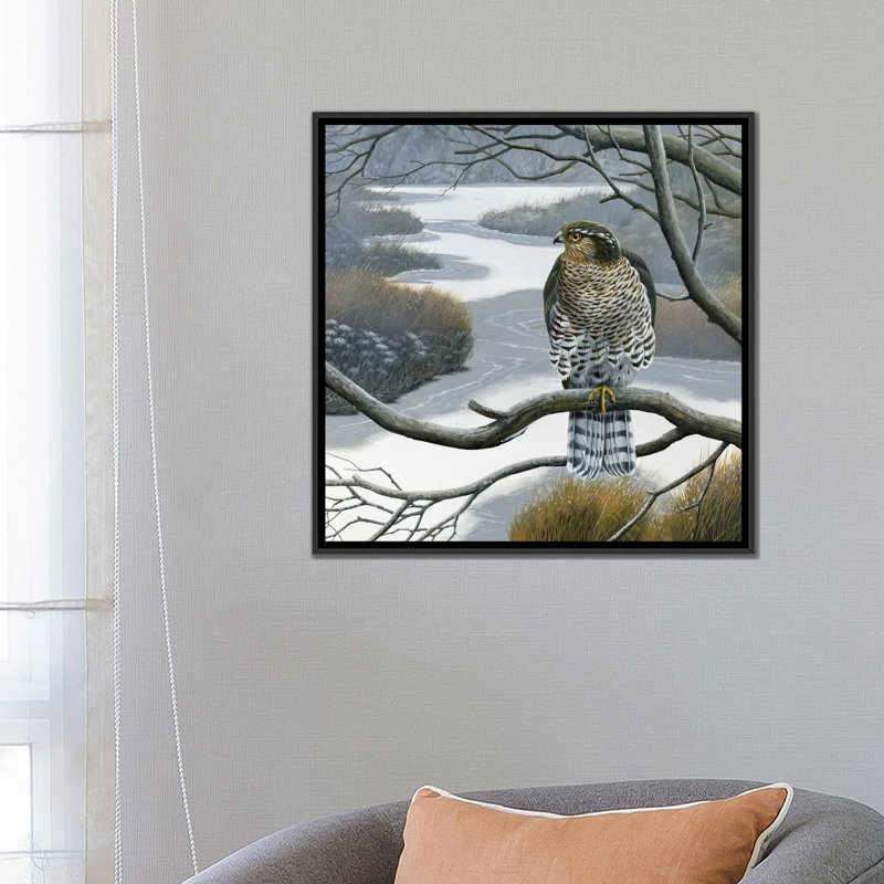 «Hawk in a Tree», impression sur toile, H 18 po x l 18 po x P 1,5 po, Toile avec cadre noir, Pas de tapis