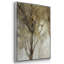 «Seeing The Light» 3 pièces-982174662-982174664