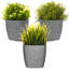 Abellas-Bauzo Pot Planter-1422744772