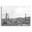 Art mural en verre Foundry Select «Sonoran Wonderland Bw» par Nathan Larson-169289556