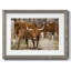 Longhorns-162033352-162033353