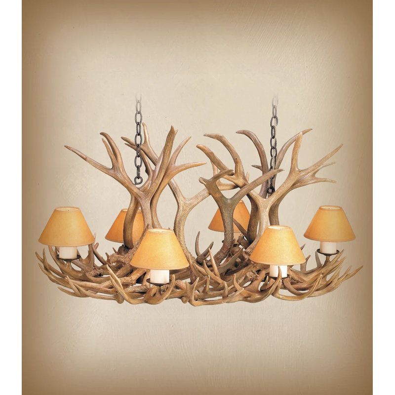 Rieke 6 - Light Chandelier