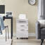 40cm Wide 2 -Drawer Mobile File Cabinet-869435986