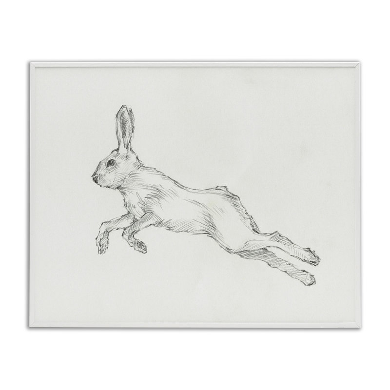 Croquis de lapin sauté, estampe numérique par Ethan Harper, Estampe numérique encadrée blanc bord de mer, H 16 po x l 20 po