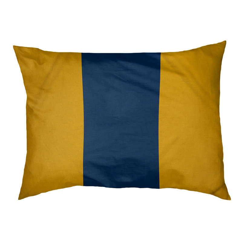 Coussin d'extérieur pour chien Mississippi Rebellion, Moyen (l 28 po x P 18 po x H 6 po), Jaune / bleu / jaune
