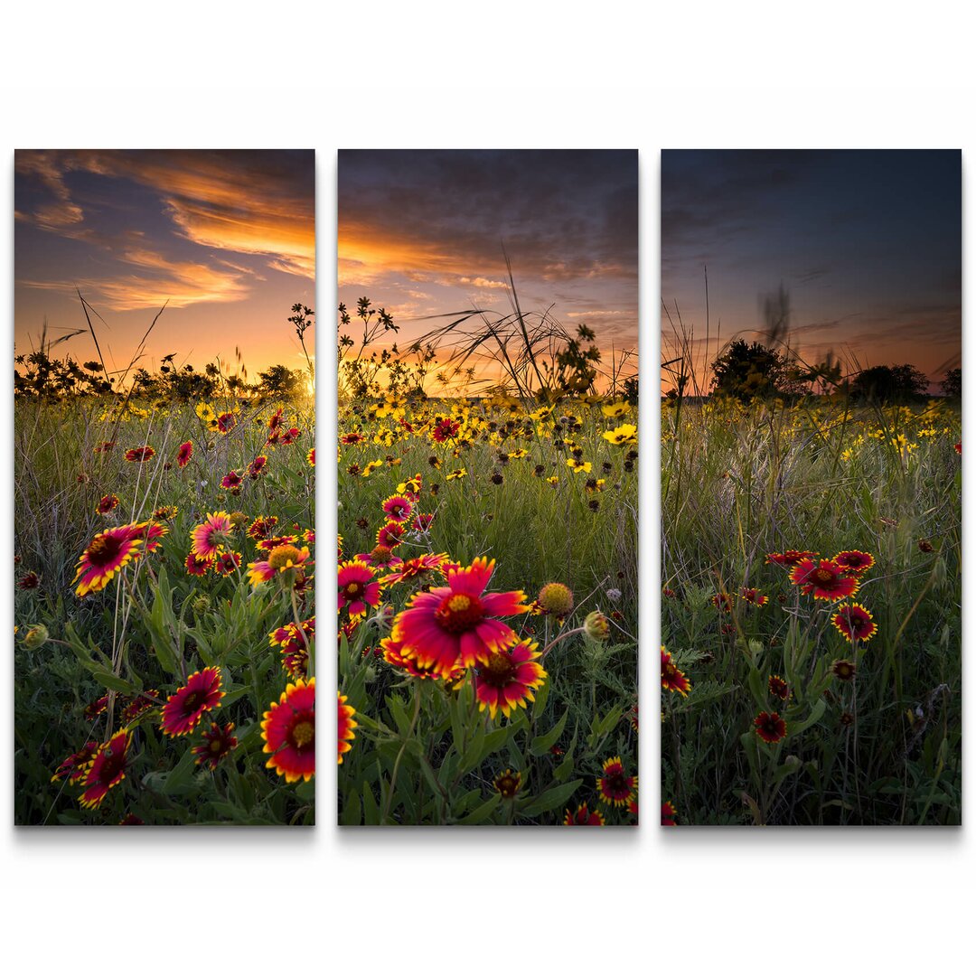 3-tlg. Leinwandbilder-Set Bunte Wildblumenwiese im Morgengrauen